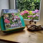 Rossenhof Lejlighed *
