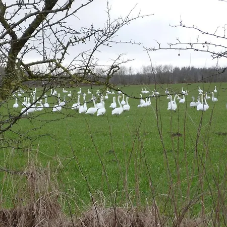 Rossenhof Apartment *